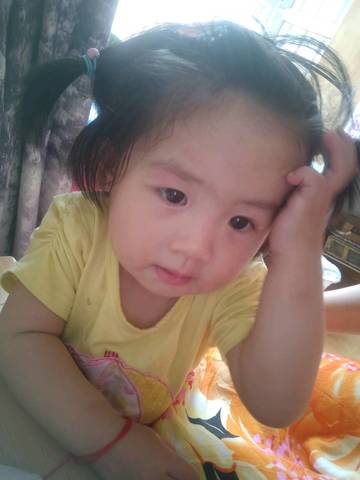 journal_insert_pic_1055321465