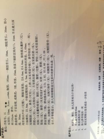 journal_insert_pic_1055440344