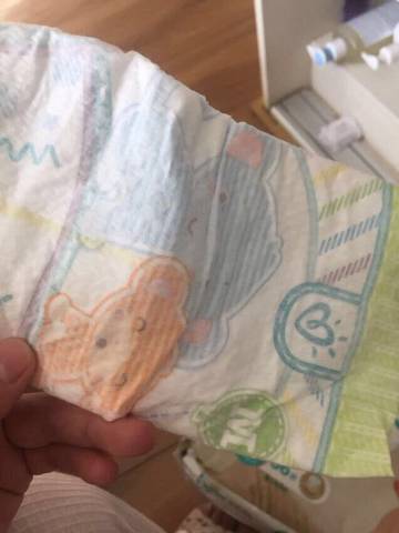 journal_insert_pic_1056486972