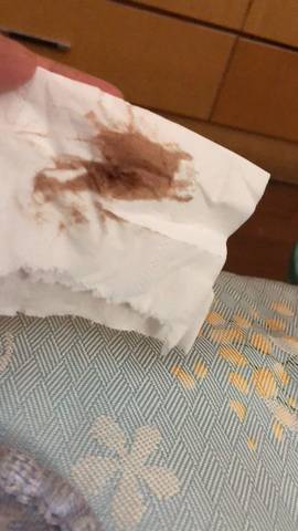 journal_insert_pic_1056744044