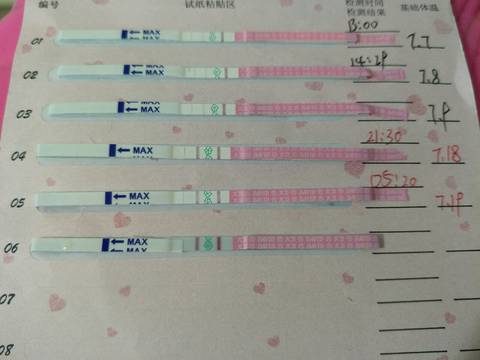 journal_insert_pic_1057685159