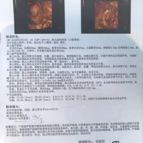 journal_insert_pic_1057321817