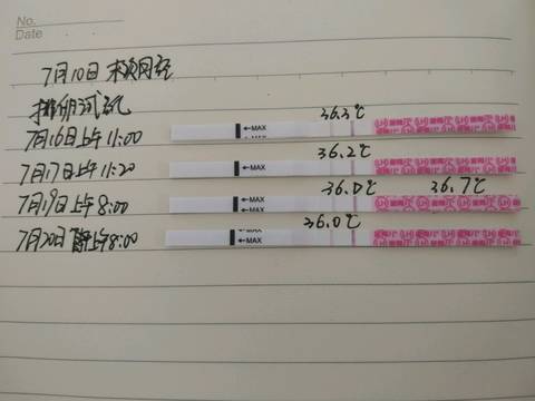 journal_insert_pic_1057980386