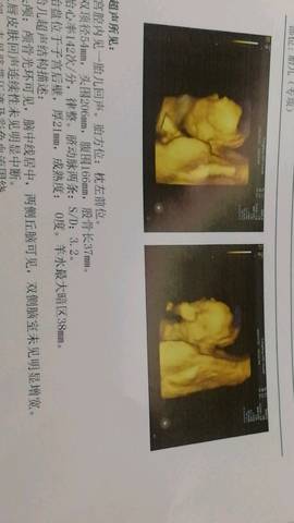 journal_insert_pic_1058028337