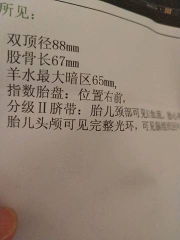 journal_insert_pic_1058694107