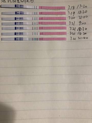 journal_insert_pic_1058946977