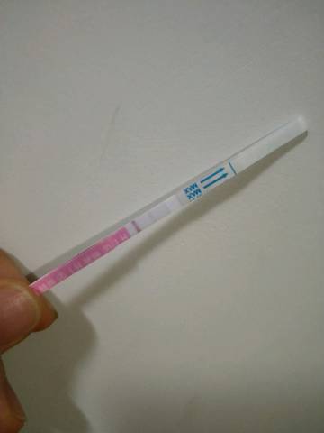 journal_insert_pic_1059547080