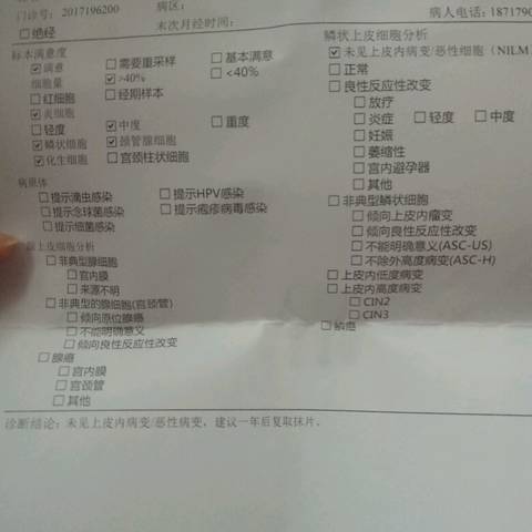 journal_insert_pic_1059272249