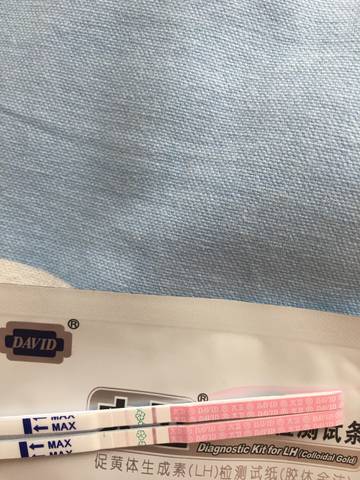 journal_insert_pic_1059224824