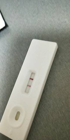 journal_insert_pic_1061059236