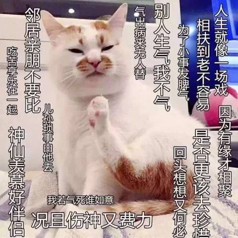 journal_insert_pic_1061167651