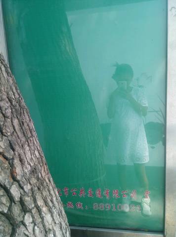 journal_insert_pic_1061724803