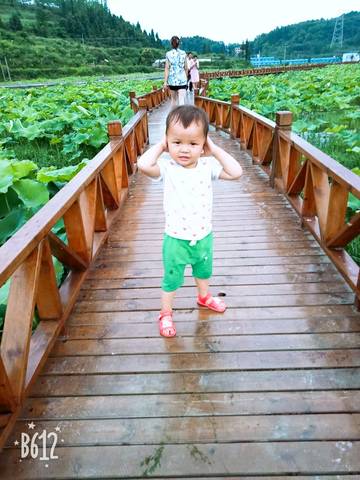 journal_insert_pic_1062082349