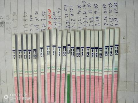 journal_insert_pic_1062419226