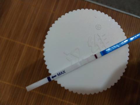 journal_insert_pic_1062728558