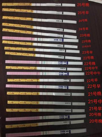 journal_insert_pic_1062311678