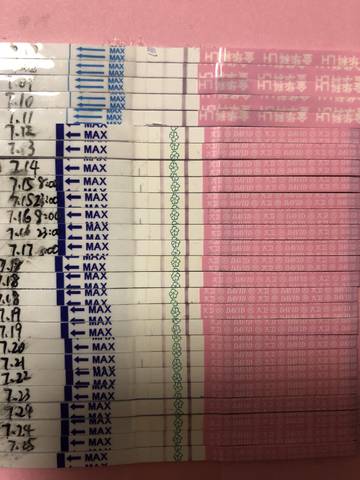 journal_insert_pic_1062217312