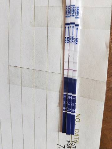 journal_insert_pic_1062902141