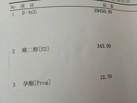 journal_insert_pic_1063124721