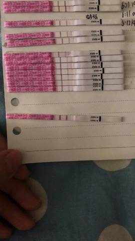 journal_insert_pic_1063311500