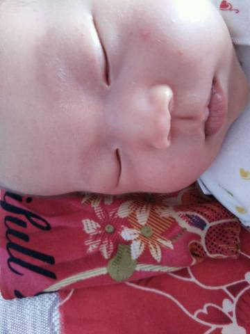 journal_insert_pic_1063040270
