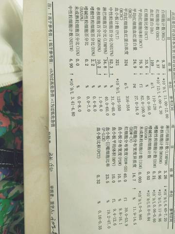 journal_insert_pic_1063704483
