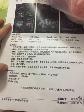 journal_insert_pic_1064499418