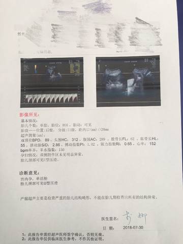 journal_insert_pic_1064532929