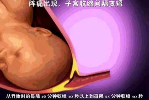 journal_insert_pic_1064477530