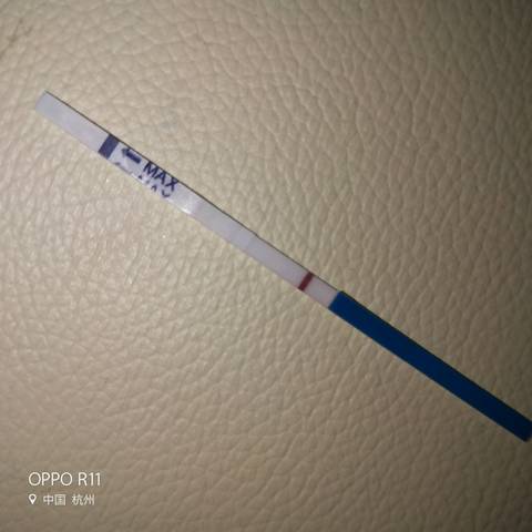journal_insert_pic_1065484934