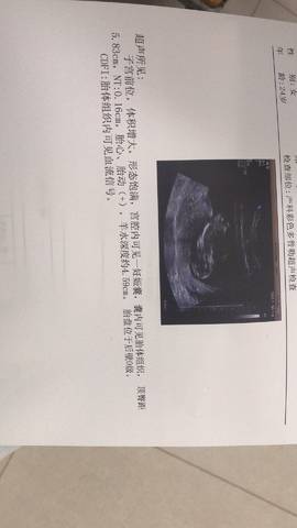 journal_insert_pic_1066194458