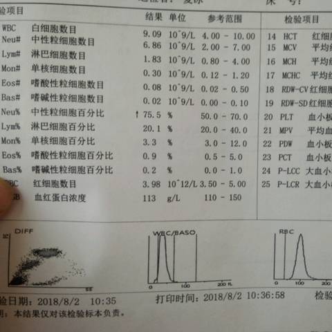 journal_insert_pic_1066220109