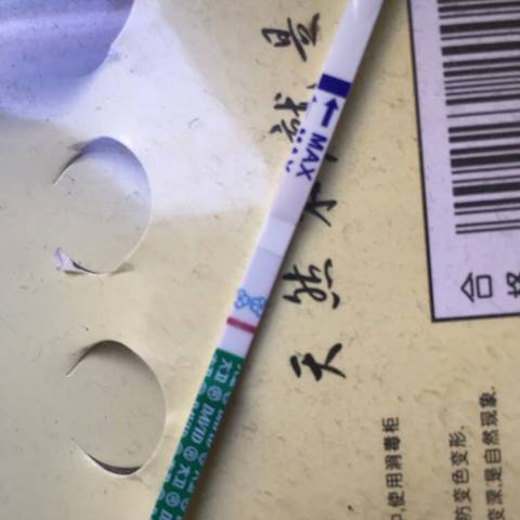 journal_insert_pic_1067602753