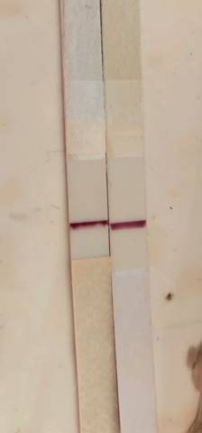journal_insert_pic_1068735118