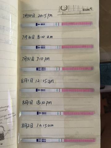 journal_insert_pic_1068720390