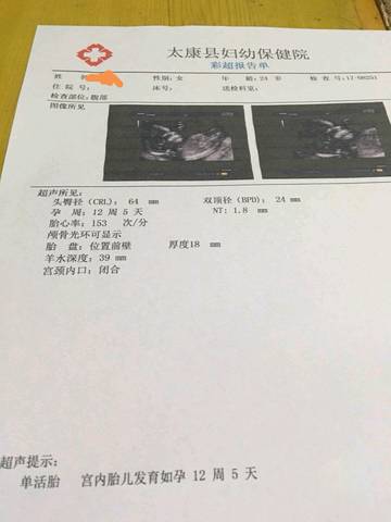 journal_insert_pic_1068644944