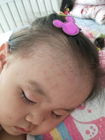 journal_insert_pic_1068752055