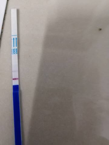 journal_insert_pic_1069057618
