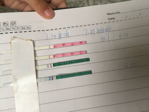 journal_insert_pic_1069306507