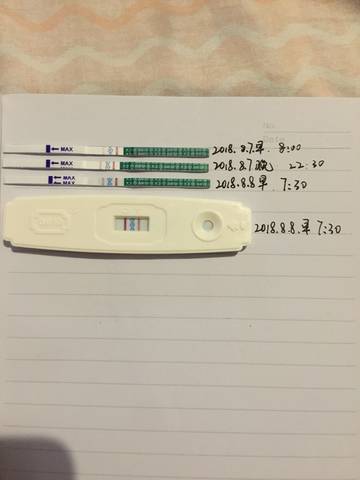 journal_insert_pic_1069998100
