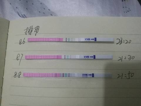 journal_insert_pic_1070378130