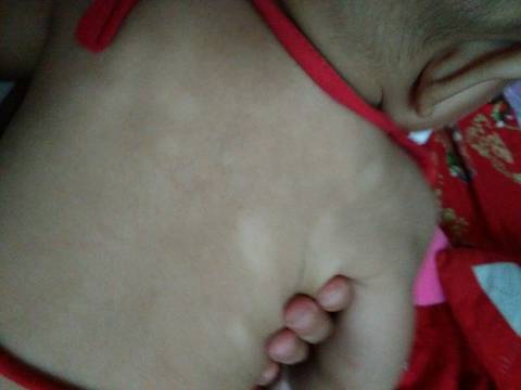 journal_insert_pic_1070189524