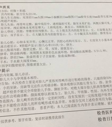 journal_insert_pic_1070061799
