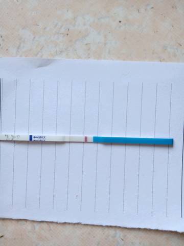journal_insert_pic_1069961064
