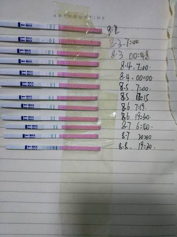 journal_insert_pic_1070310725
