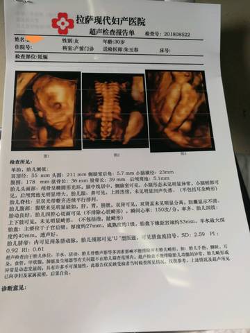 journal_insert_pic_1070861435