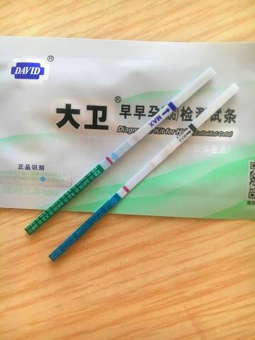 journal_insert_pic_1070606108