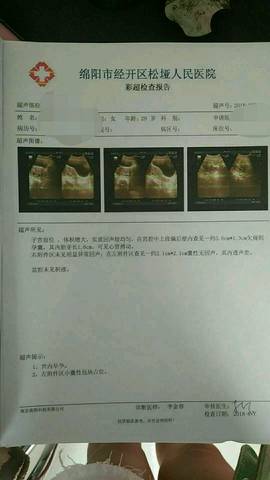 journal_insert_pic_1070620708