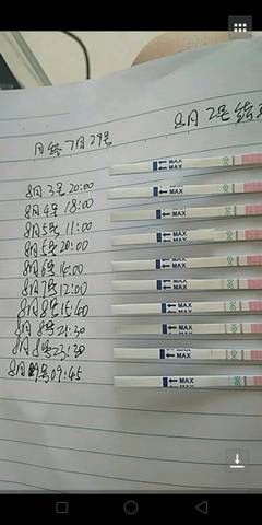 journal_insert_pic_1070612213