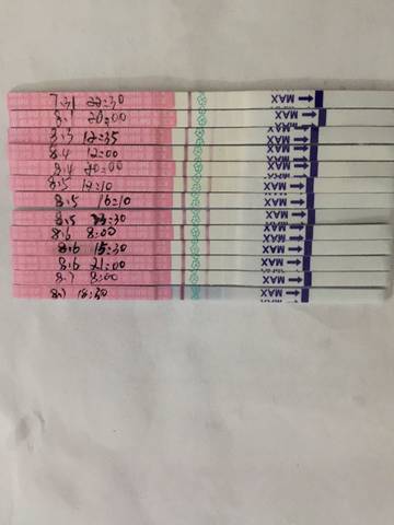 journal_insert_pic_1070676212